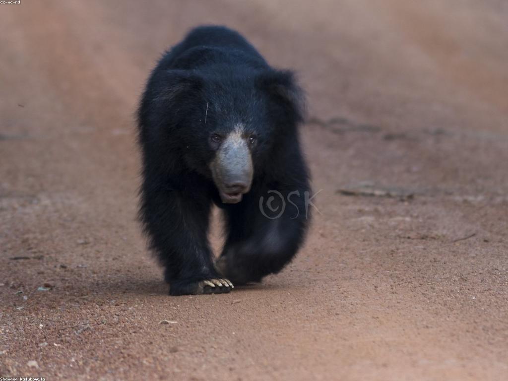 ព្រឹត្តិការណ៍ស្លុត: អ្វីដែលអ្នកគួរដឹង