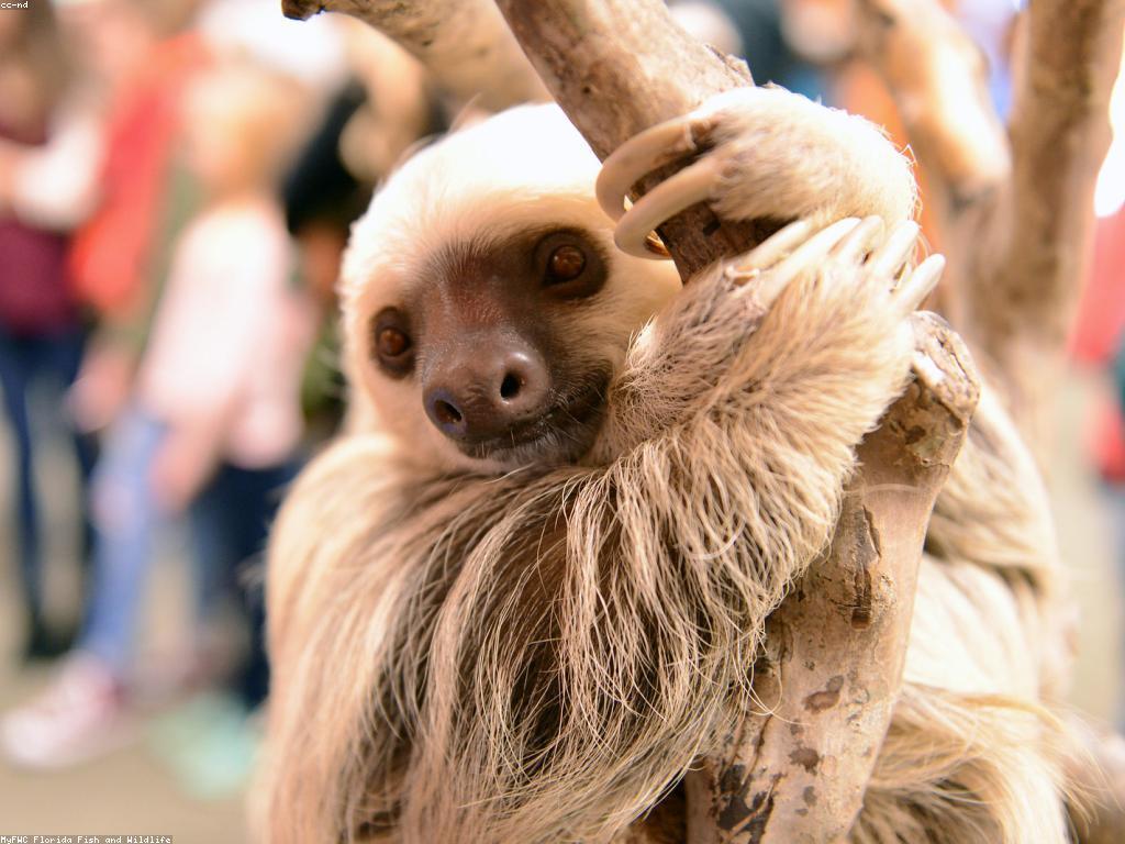 ការយល់ដឹងអំពីព្រឹត្តិការណ៍ស្លុត៖ អត្ថន័យ និងភាពសំខាន់