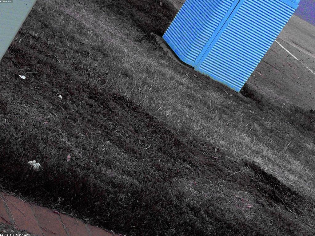 ការណែនាំអំពីស្ត្រីស្លុត និងទីកន្លែងរស់នៅ