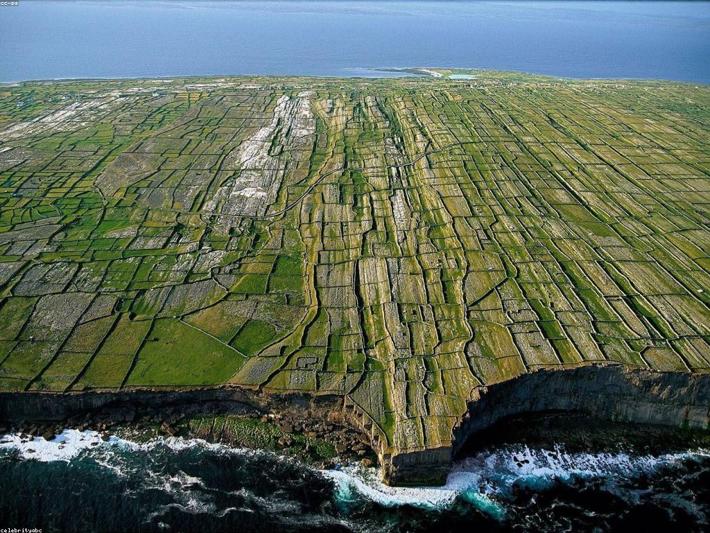 វិធីលេងហ្គេមសម្រាប់អ្នកថ្មី