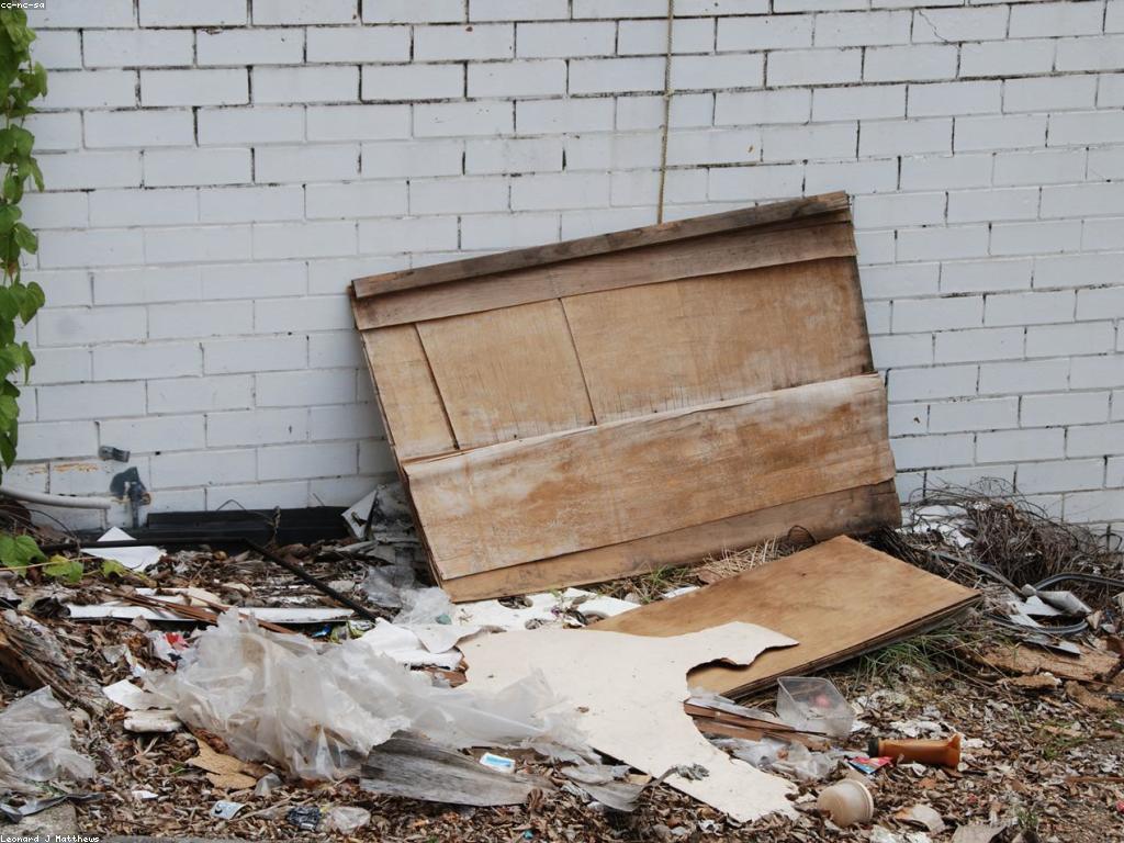 ការណែនាំពីស្លុត: ទីកន្លែងរស់នៅនិងអាកប្បកិរិយារបស់ស្លុត