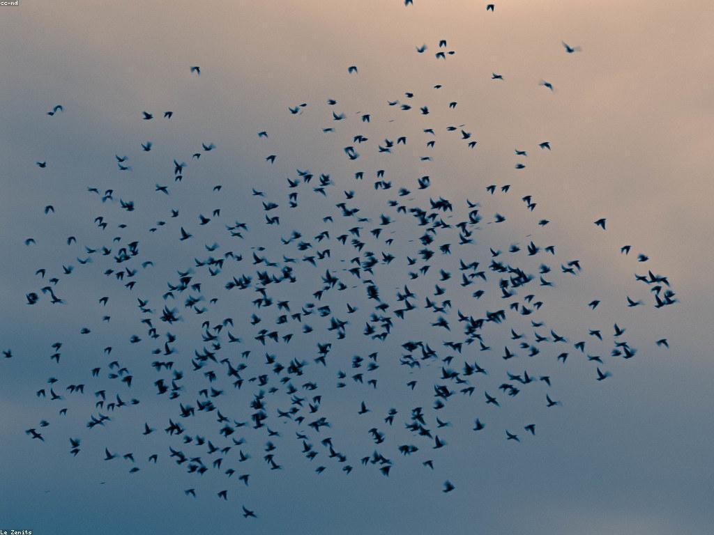 ព្រឹត្តិការណ៍ស្លុត - ការជួបប្រទះនៃវិបត្តិក្នុងសង្គម