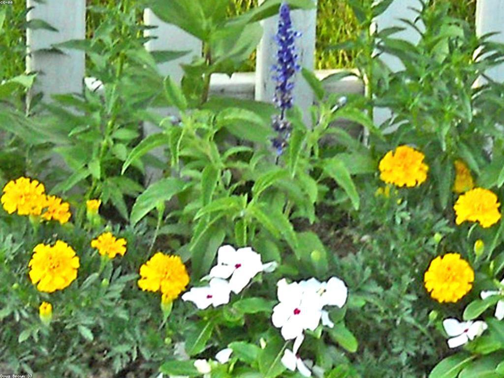 ការណែនាំពីស្លុត: ប្រភេទនៃស្លុតនិងការប្រើប្រាស់