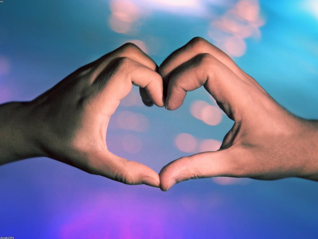 ការណែនាំពីស្លុត