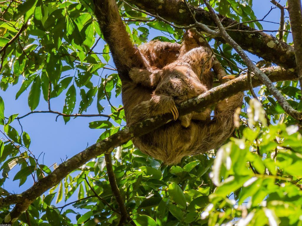 ព្រឹត្តិការណ៍ស្លុត: អ្វីដែលអ្នកគួរដឹង