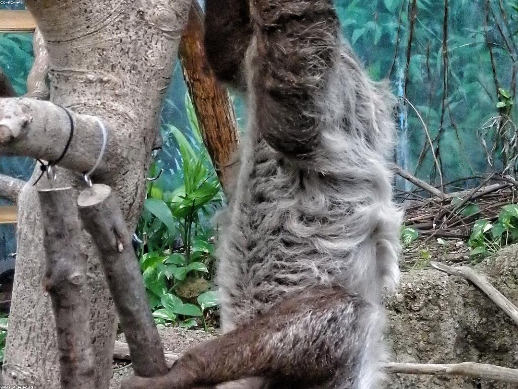 ការណែនាំពីស្លុត